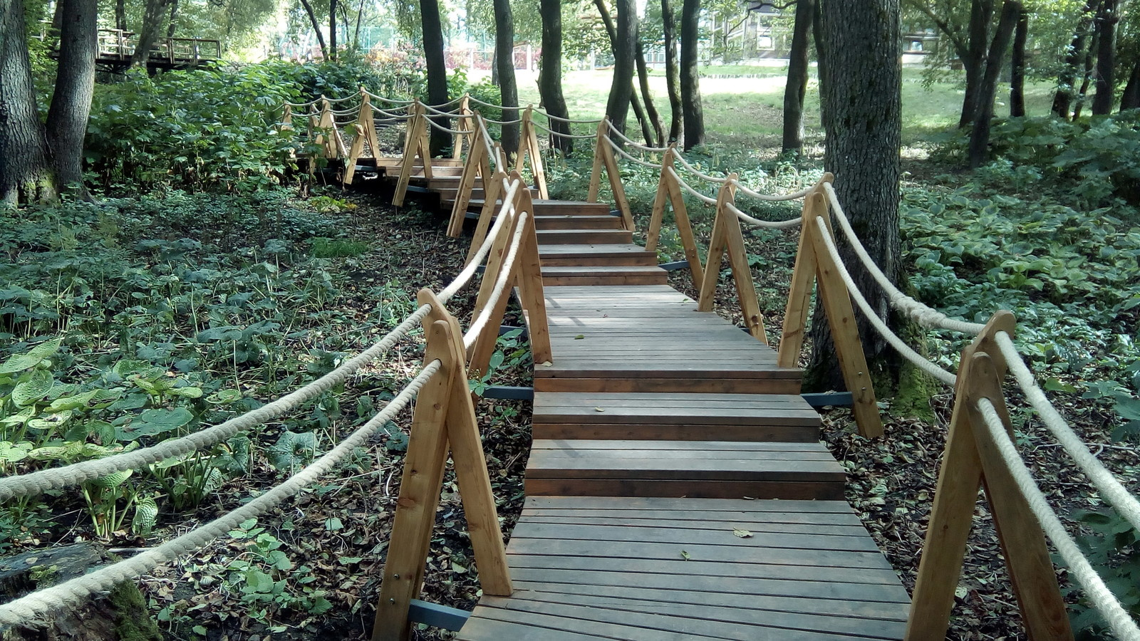 Valley of springs Долина родников