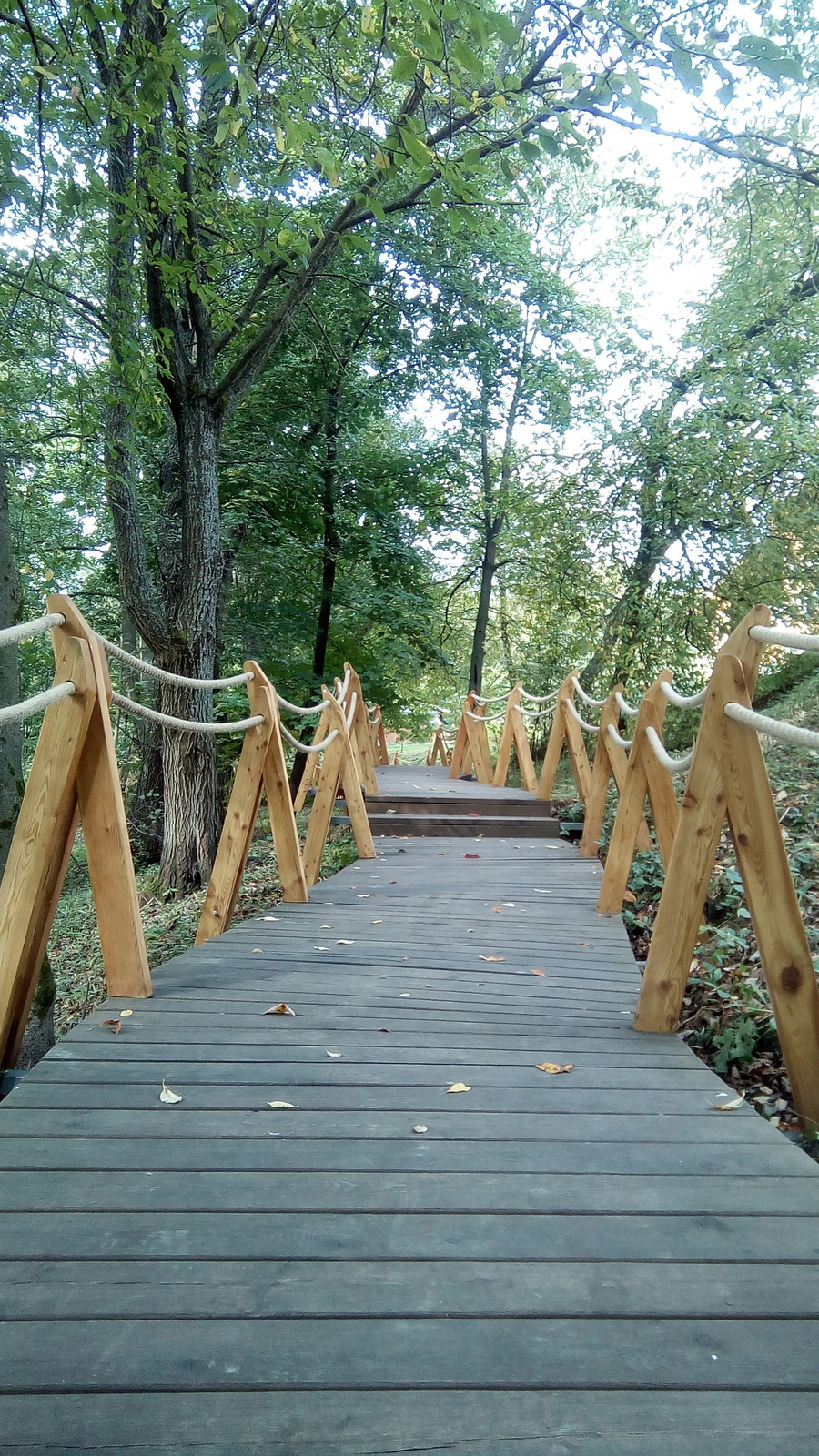 Valley of springs Долина родников