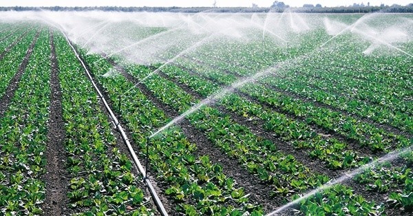 Система автополива