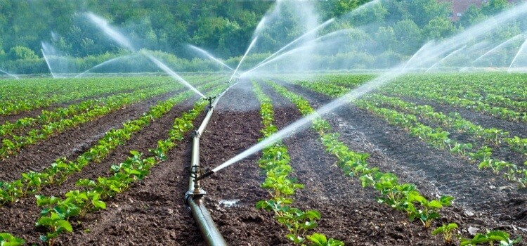 Обложка проекта: Система автополива