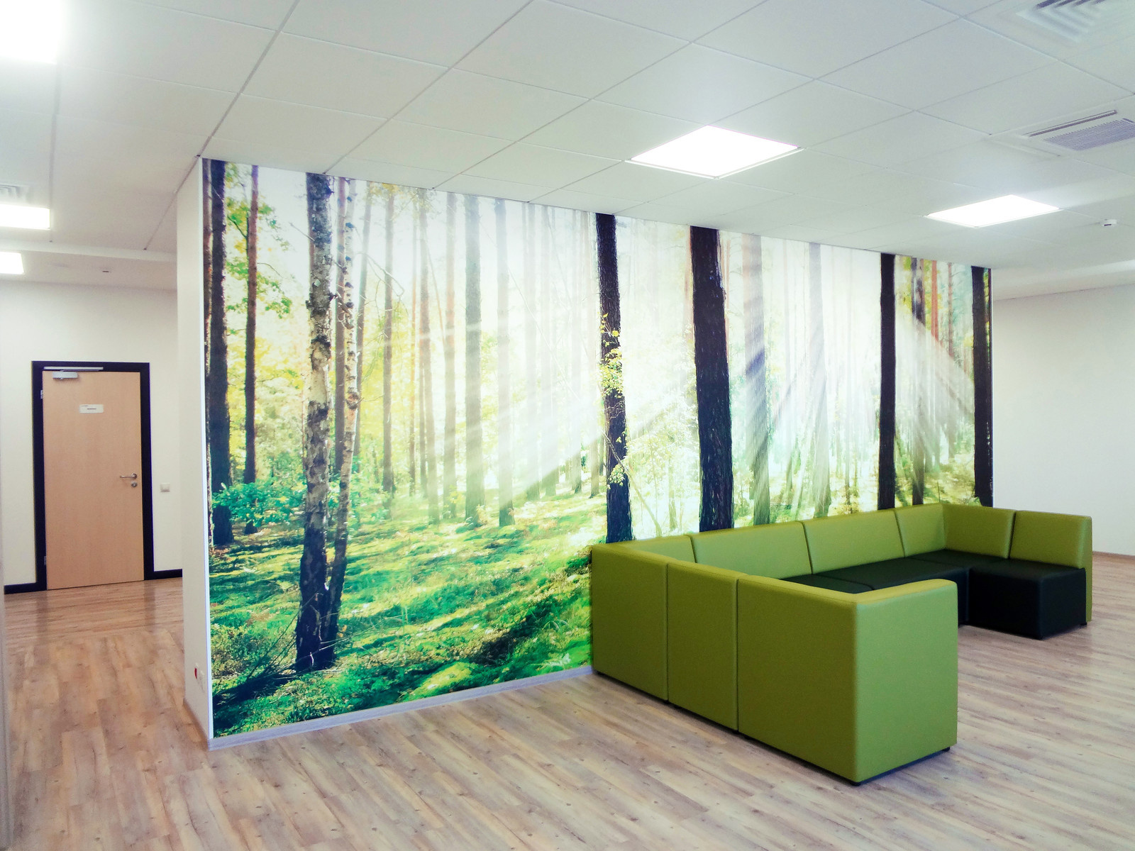 Обложка проекта: Фотообои Лес в зону отдыха офиса