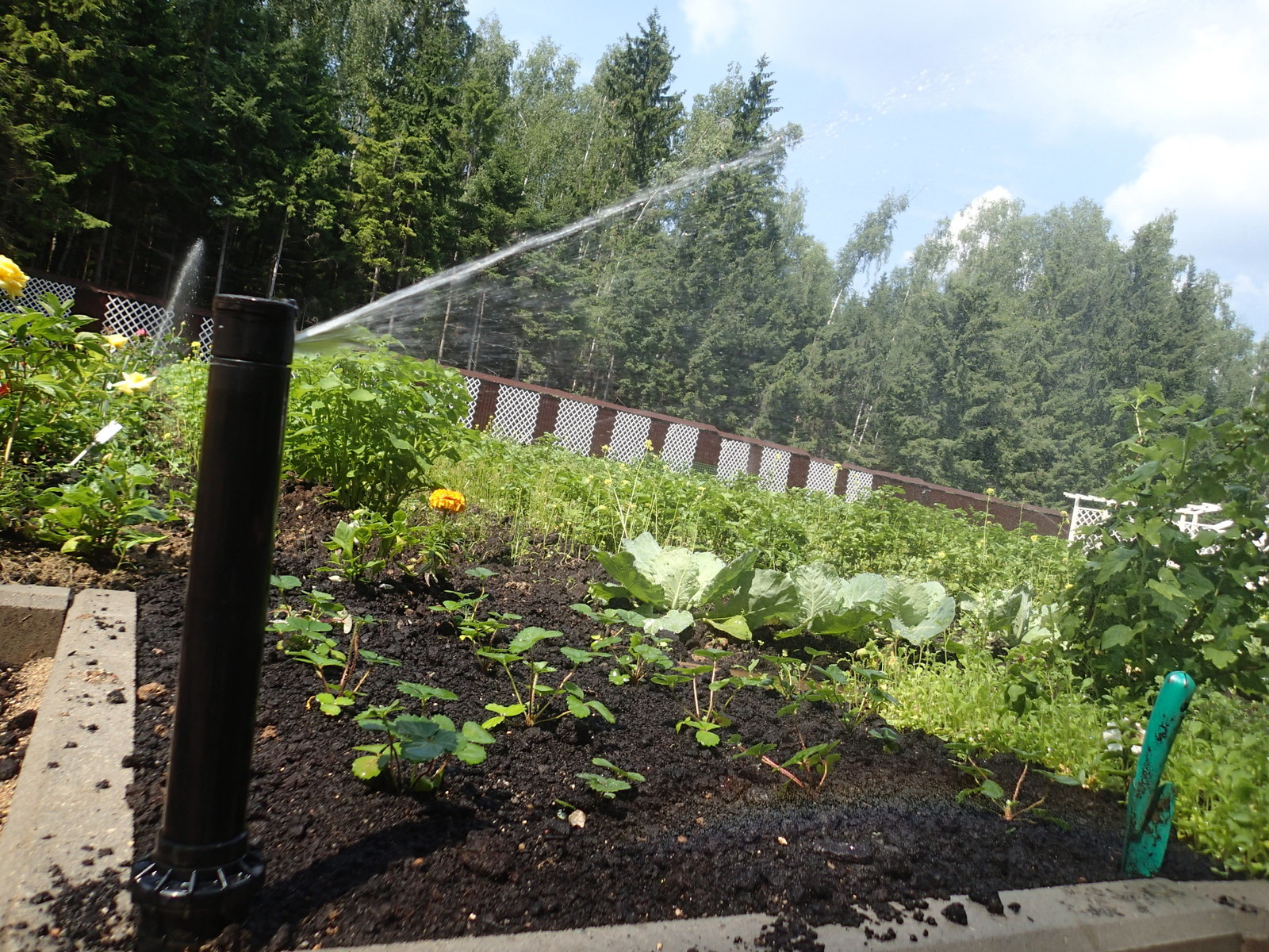 Наш фотоальбом с 2008 по 2017 годы