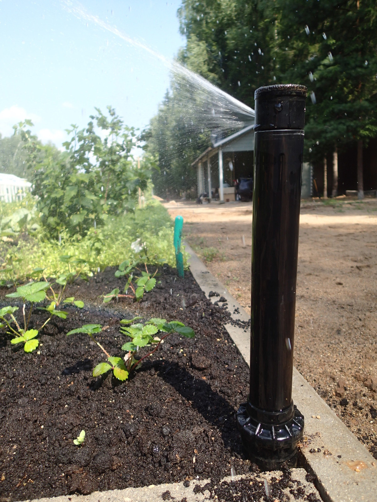 Наш фотоальбом с 2008 по 2017 годы