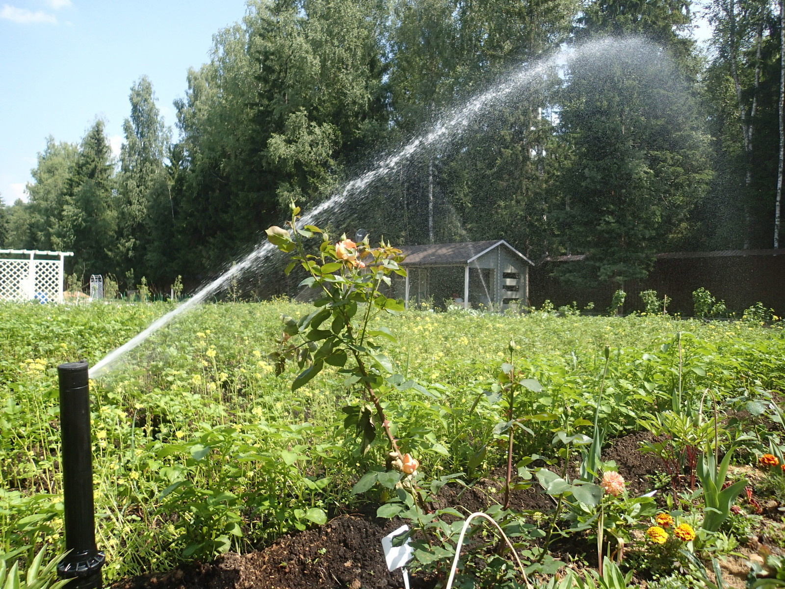 Наш фотоальбом с 2008 по 2017 годы