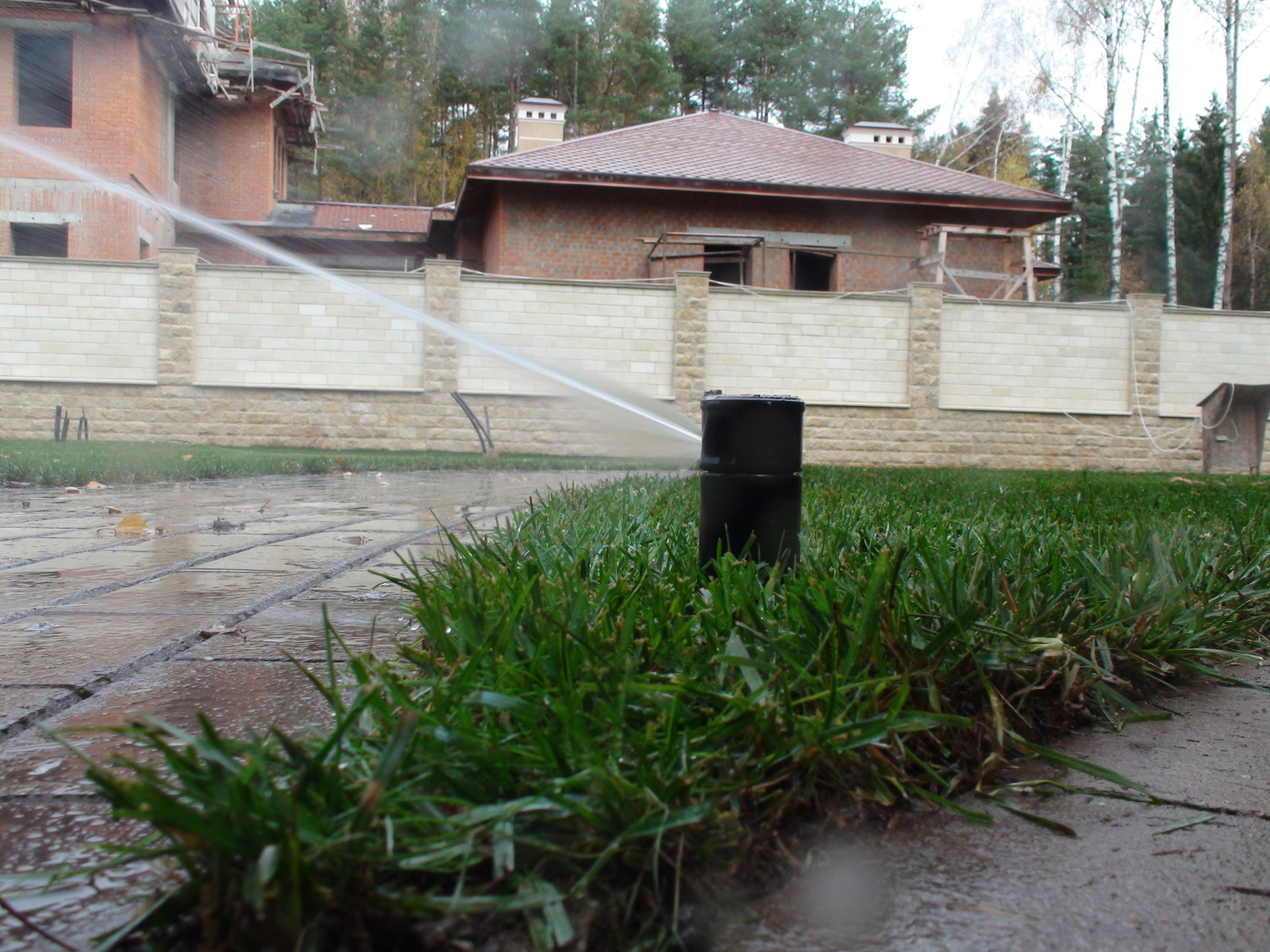 Наш фотоальбом с 2008 по 2017 годы