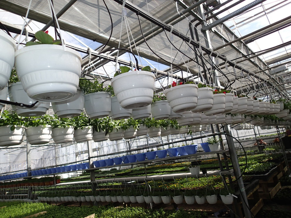 Наш фотоальбом с 2008 по 2017 годы