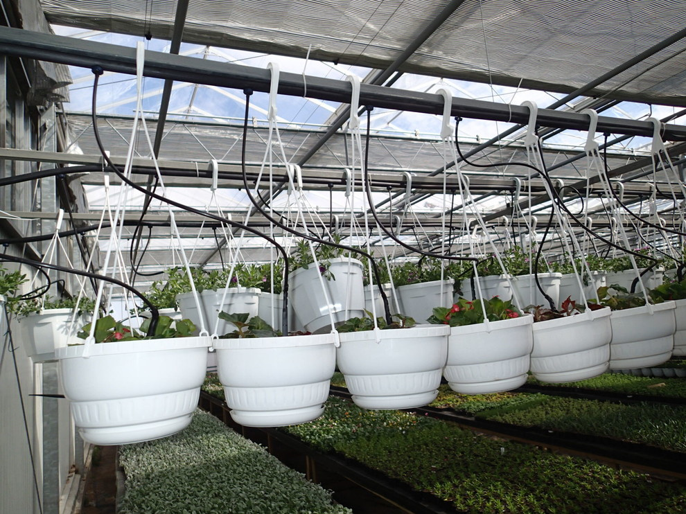 Наш фотоальбом с 2008 по 2017 годы