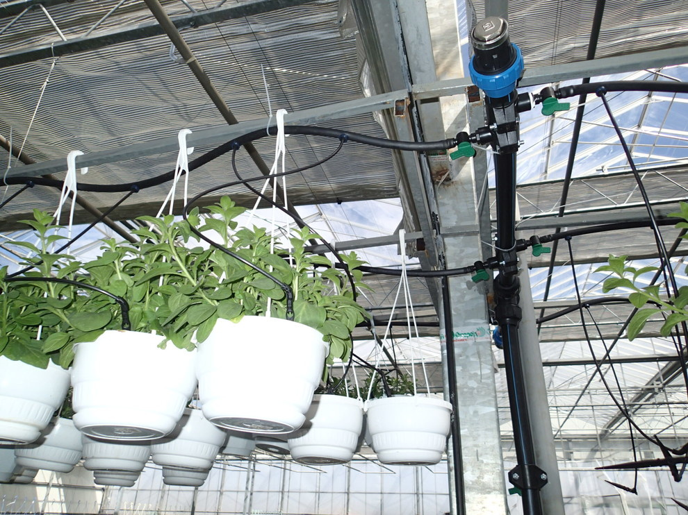 Наш фотоальбом с 2008 по 2017 годы