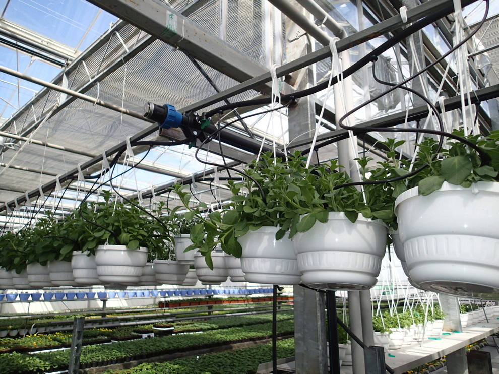 Наш фотоальбом с 2008 по 2017 годы