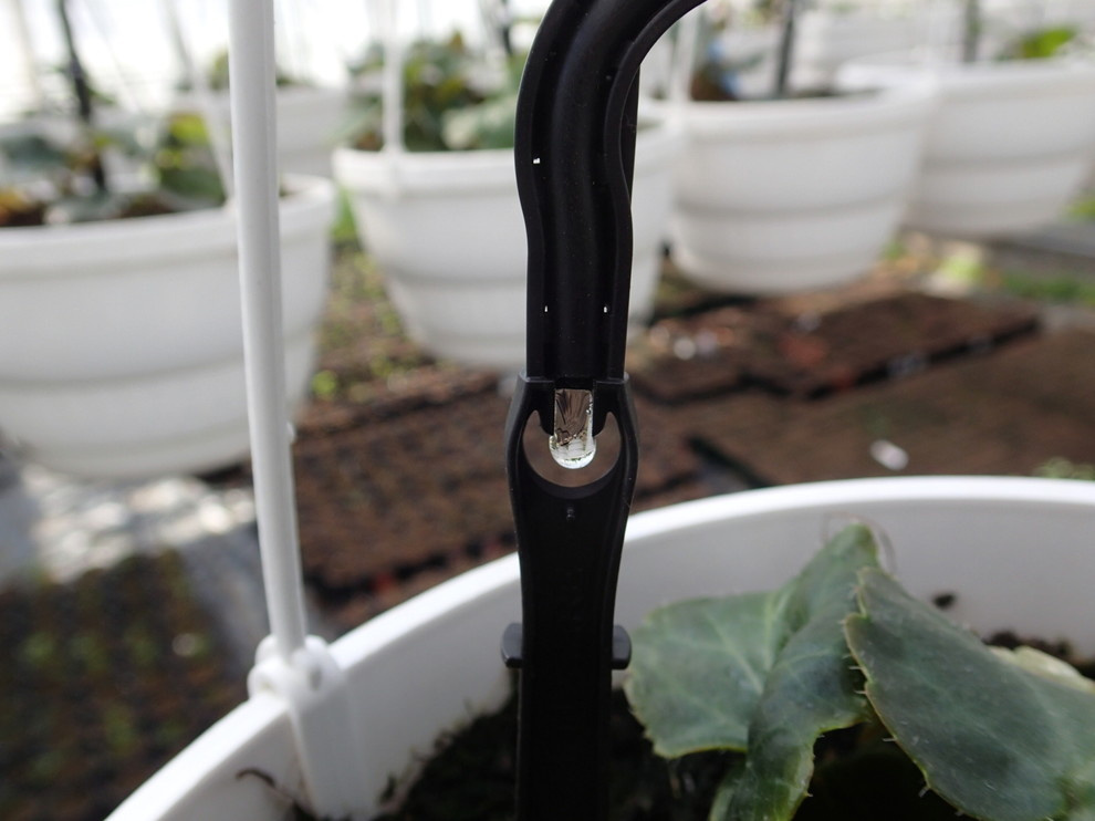 Наш фотоальбом с 2008 по 2017 годы