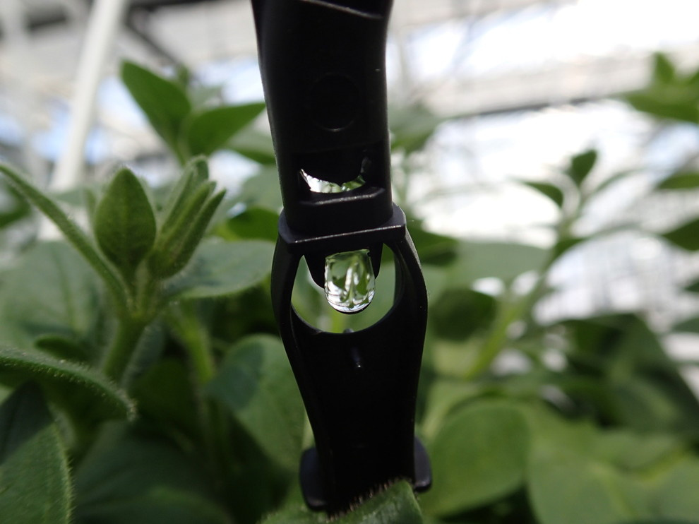 Наш фотоальбом с 2008 по 2017 годы