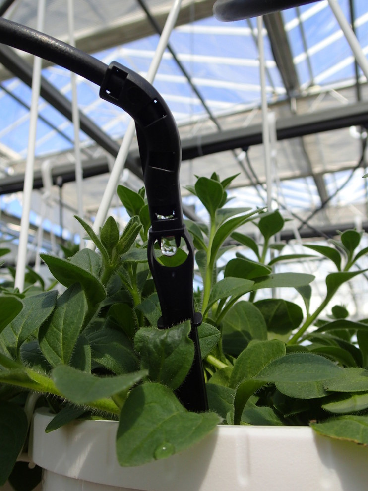 Наш фотоальбом с 2008 по 2017 годы