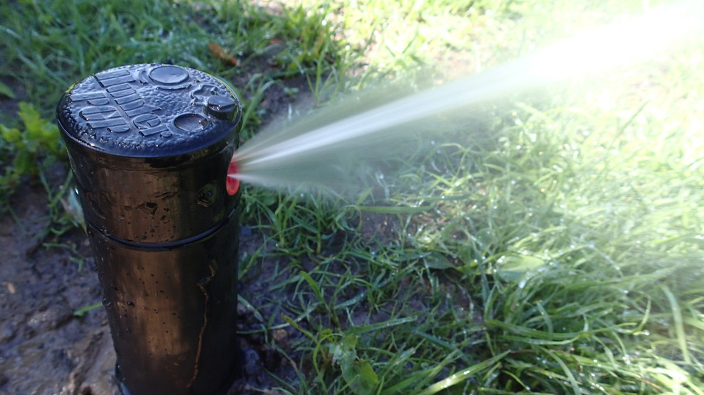 Наш фотоальбом с 2008 по 2017 годы