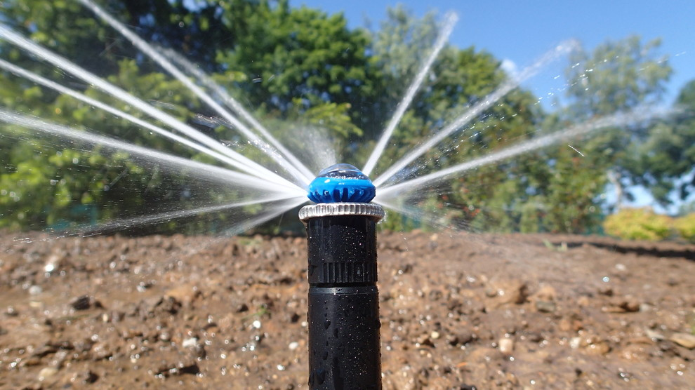 Наш фотоальбом с 2008 по 2017 годы