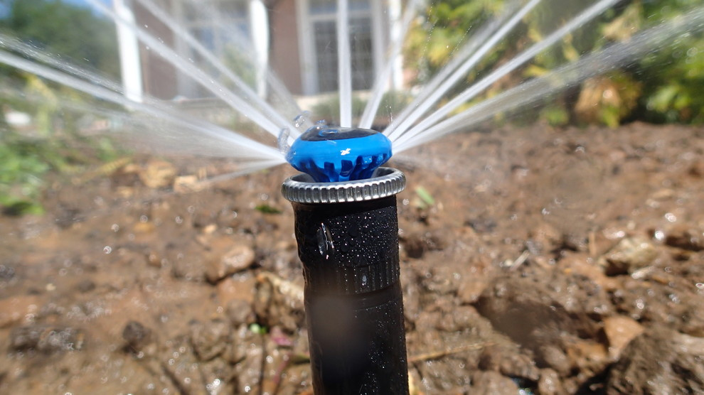 Наш фотоальбом с 2008 по 2017 годы