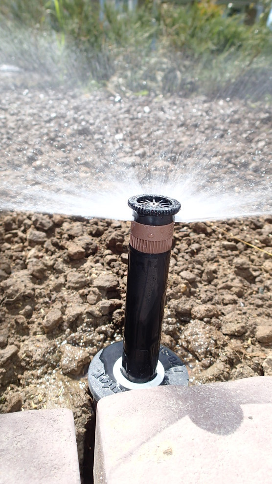 Наш фотоальбом с 2008 по 2017 годы