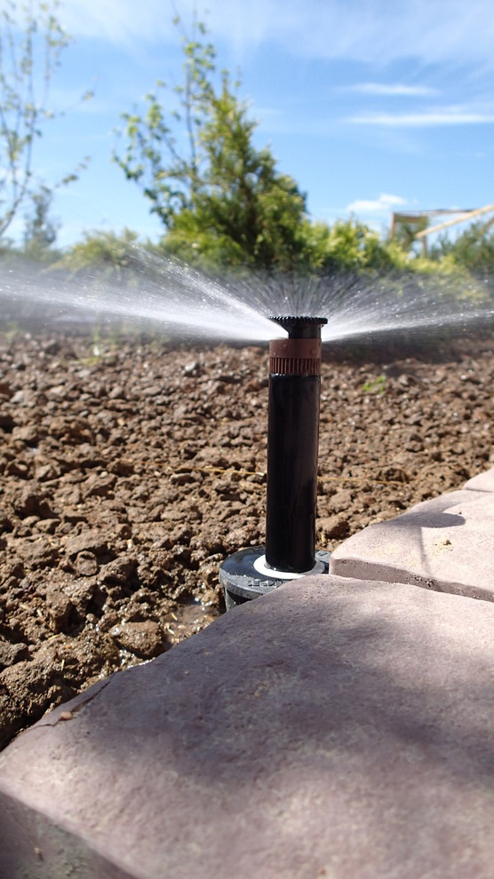 Наш фотоальбом с 2008 по 2017 годы