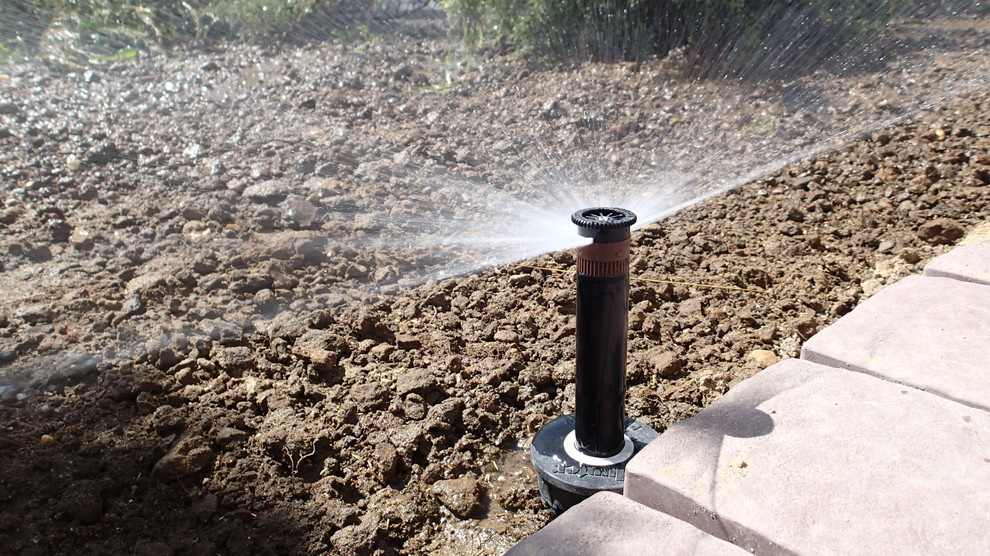 Наш фотоальбом с 2008 по 2017 годы