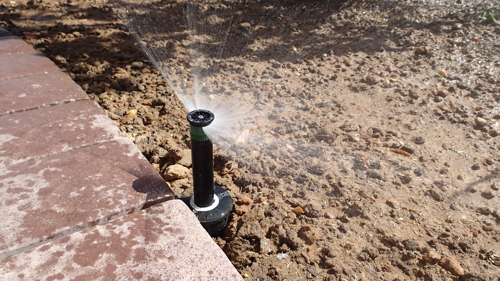 Наш фотоальбом с 2008 по 2017 годы