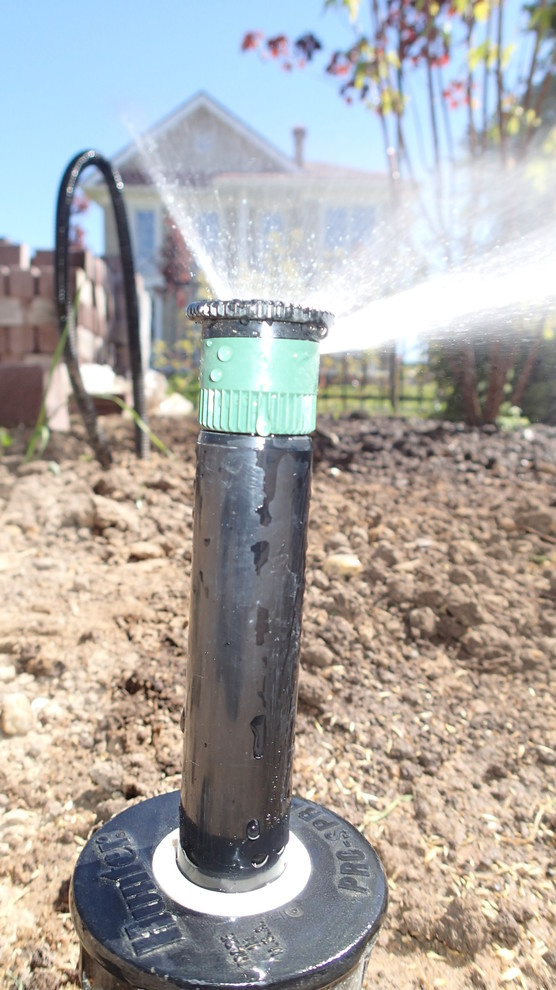 Наш фотоальбом с 2008 по 2017 годы