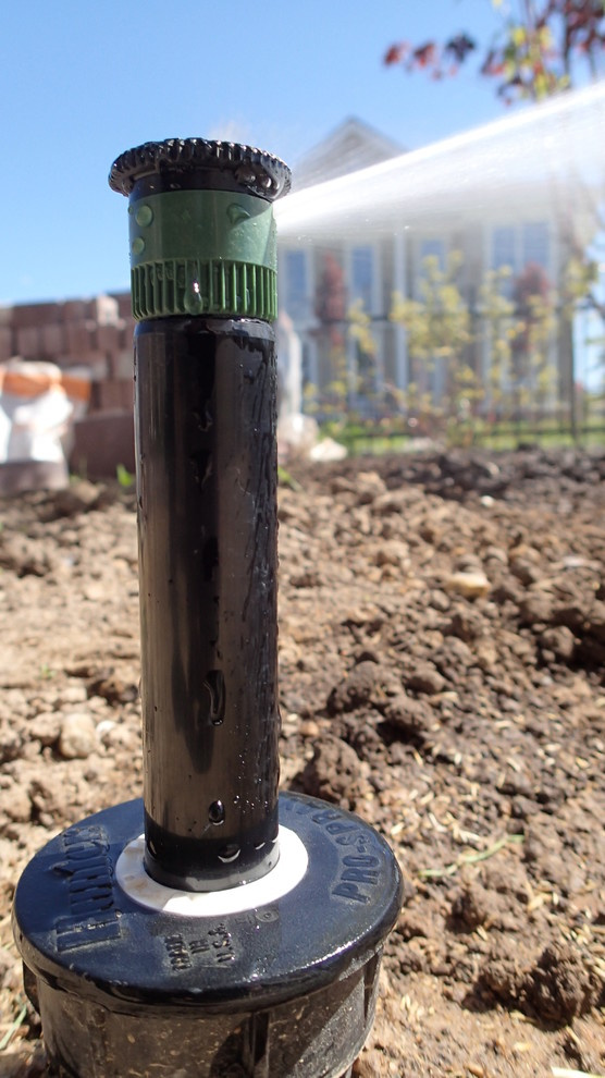 Наш фотоальбом с 2008 по 2017 годы