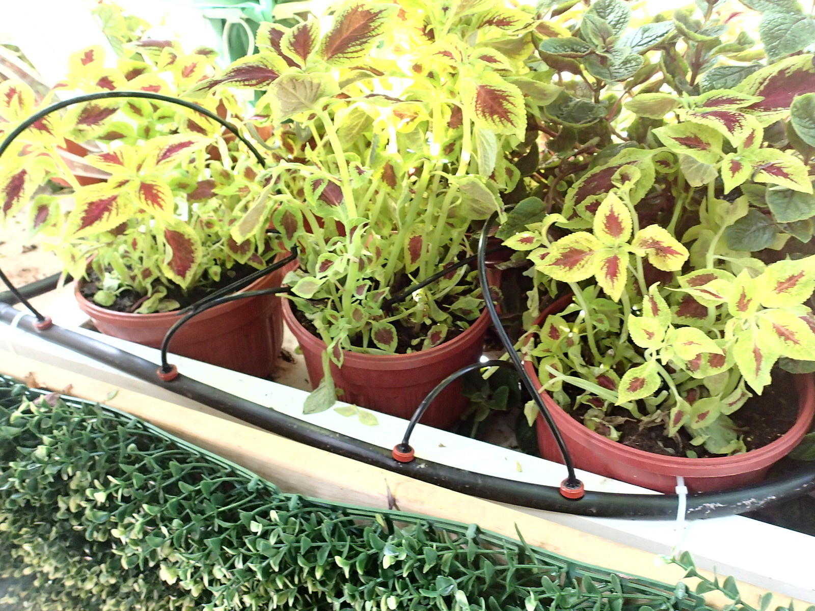 Наш фотоальбом с 2008 по 2017 годы