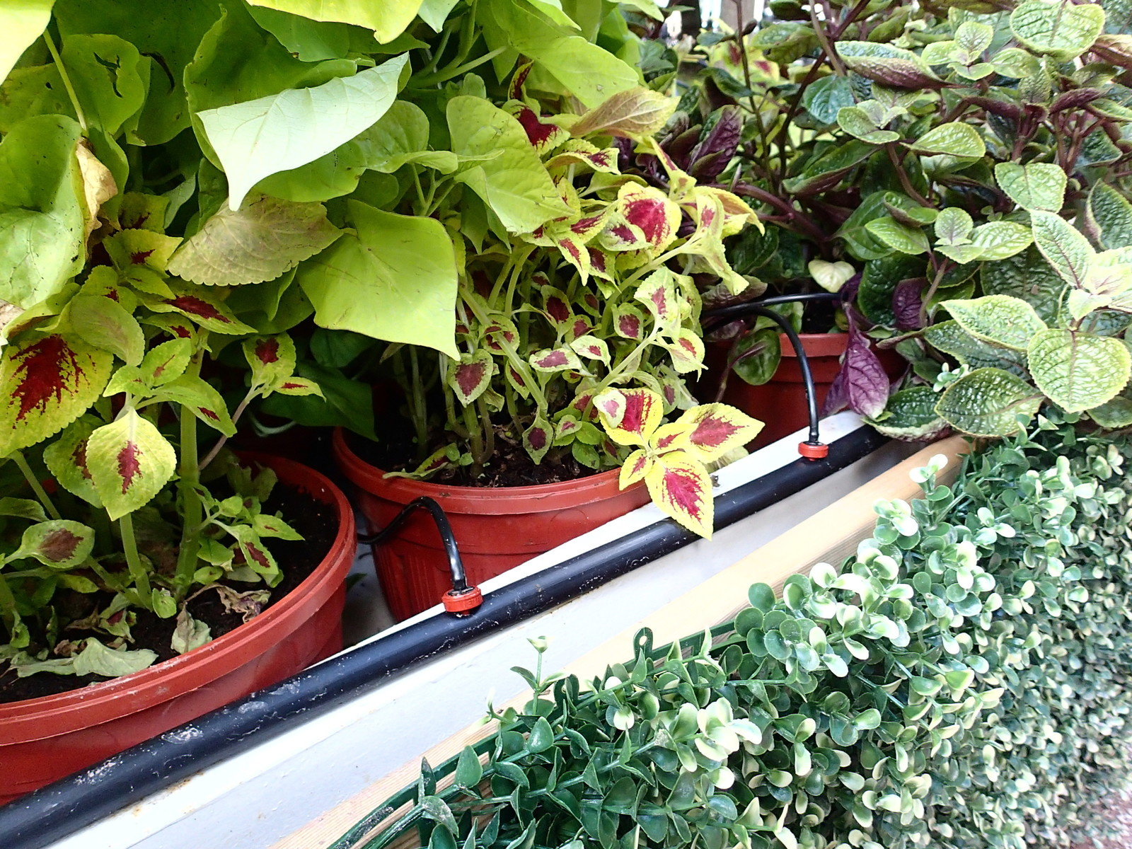 Наш фотоальбом с 2008 по 2017 годы