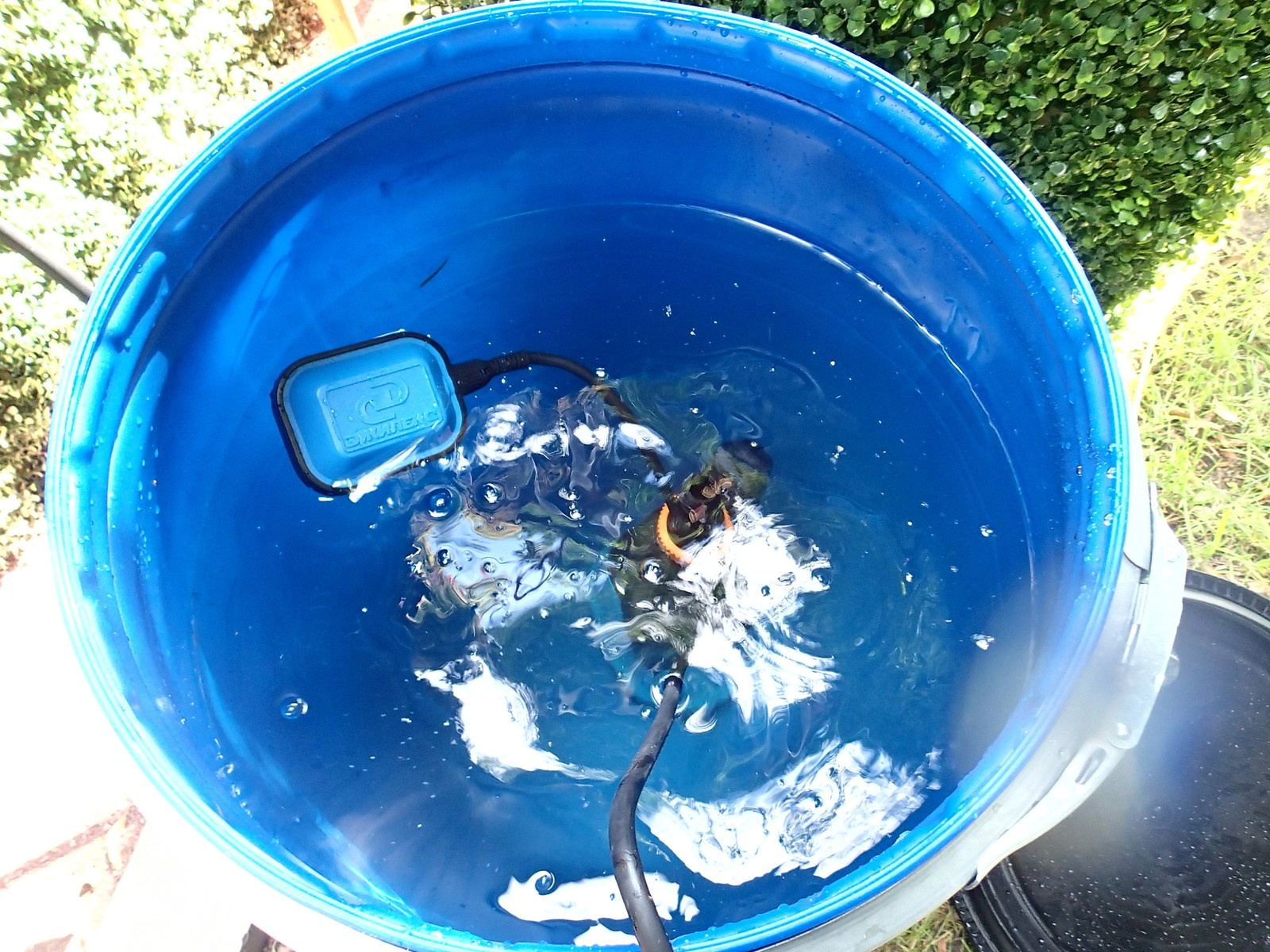 Наш фотоальбом с 2008 по 2017 годы