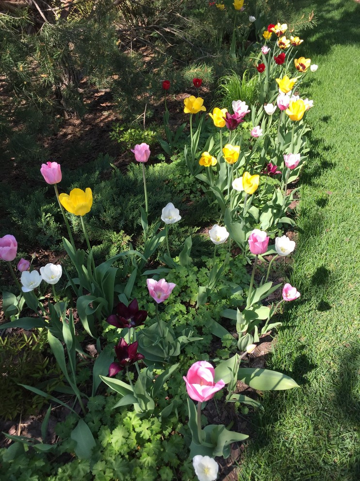 Холодное лето 2017 (сад "Игра в лабиринт")