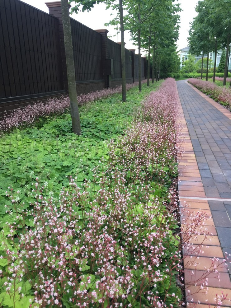 Холодное лето 2017 (сад "Игра в лабиринт")