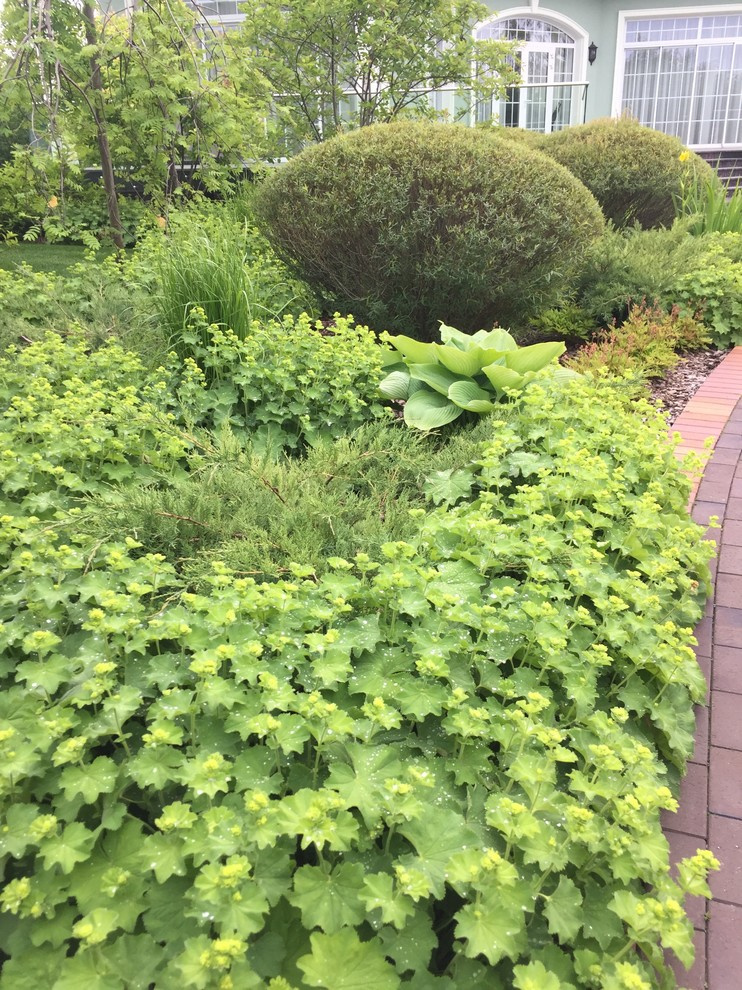 Холодное лето 2017 (сад "Игра в лабиринт")