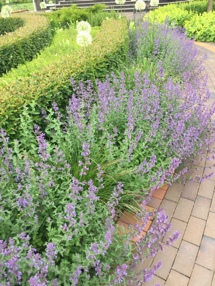 Холодное лето 2017 (сад "Игра в лабиринт")