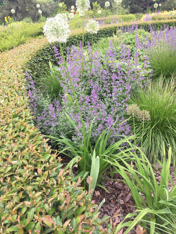 Холодное лето 2017 (сад "Игра в лабиринт")