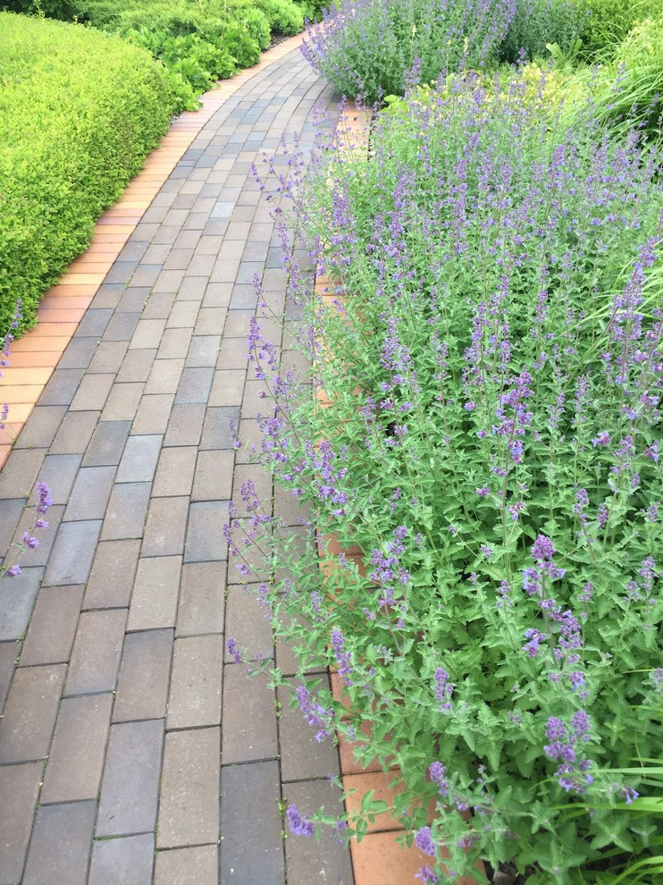 Холодное лето 2017 (сад "Игра в лабиринт")