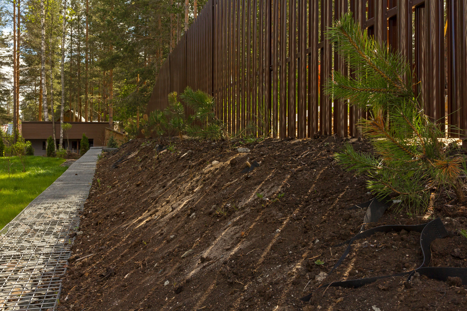 Ландшафт участка загородного дома в Сосновом бору