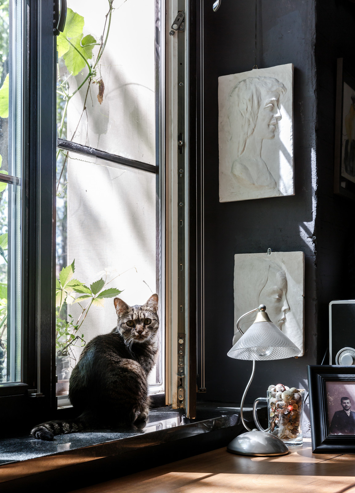 Loft Garden for Houzz