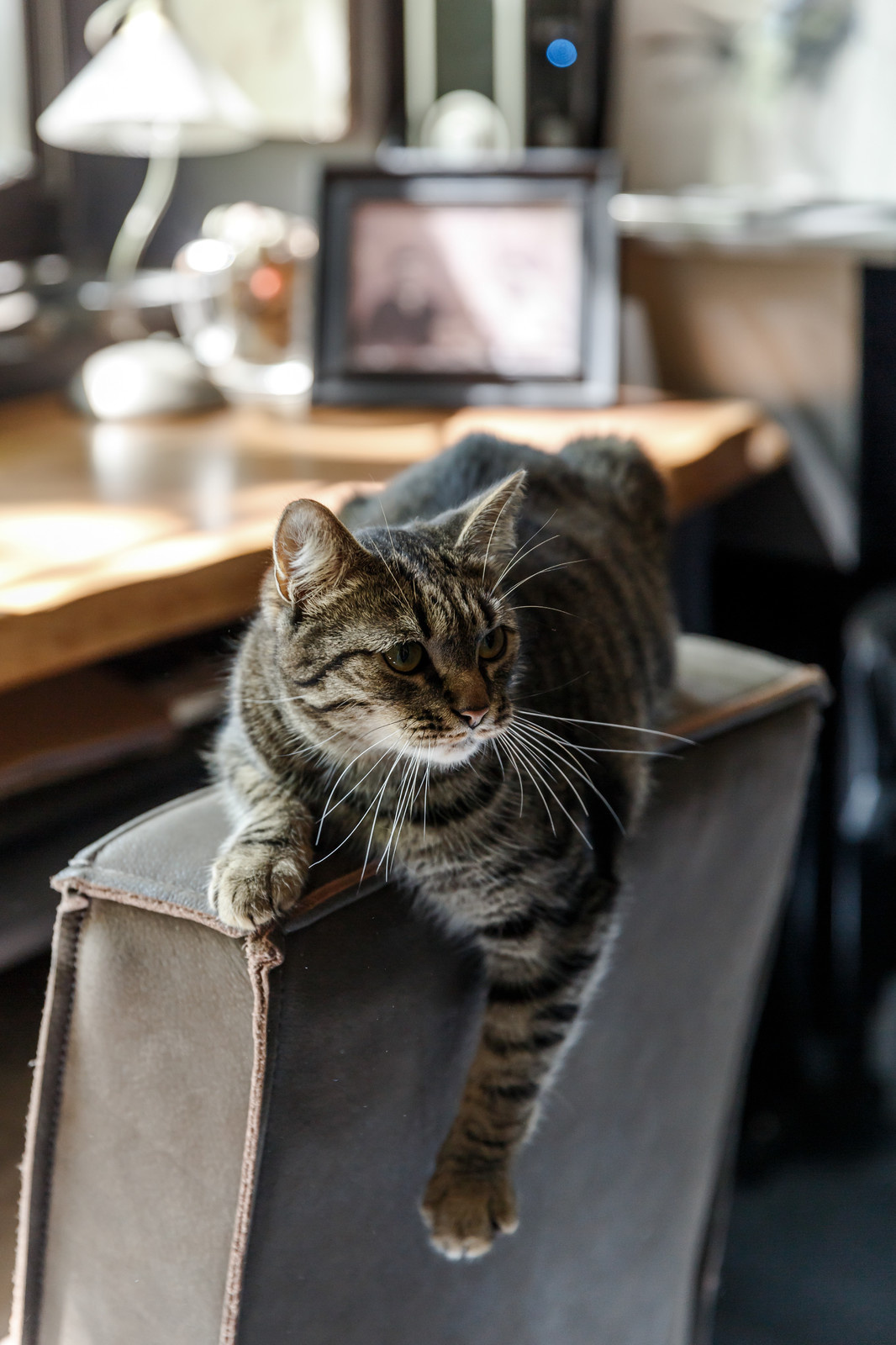 Loft Garden for Houzz