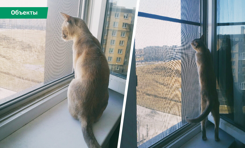 Москитная сетка «Антикошка»