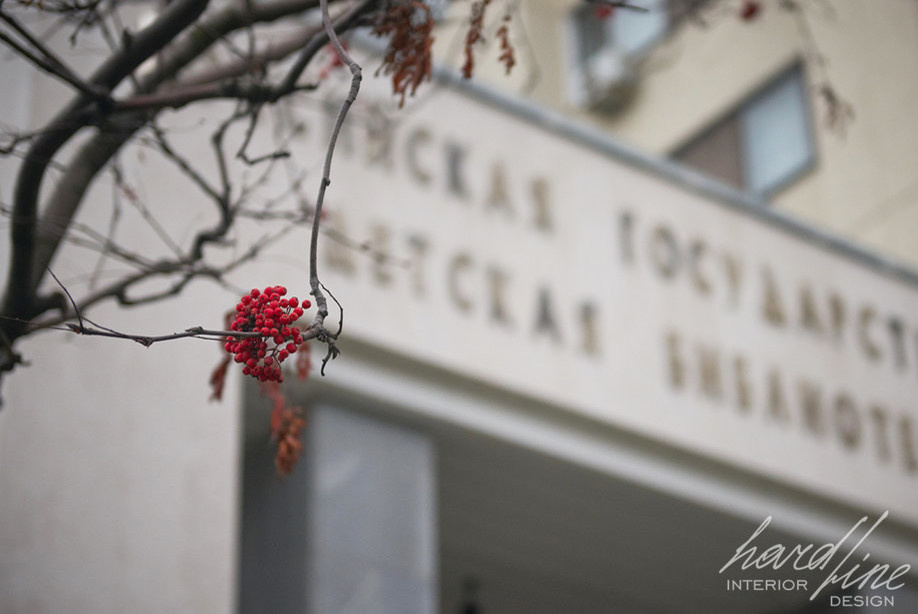 Российская государственная детская библиотека