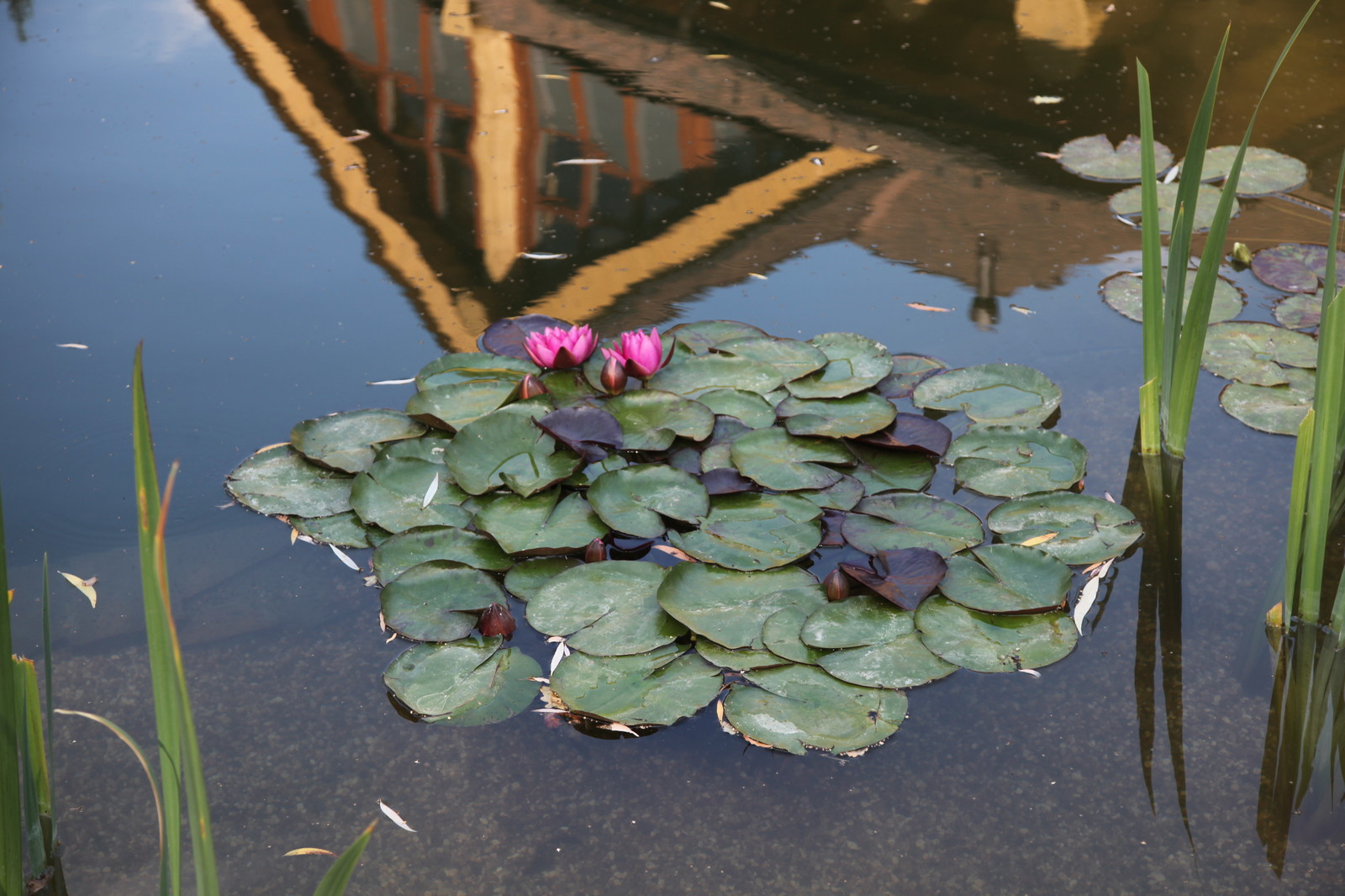 Проект Озерный