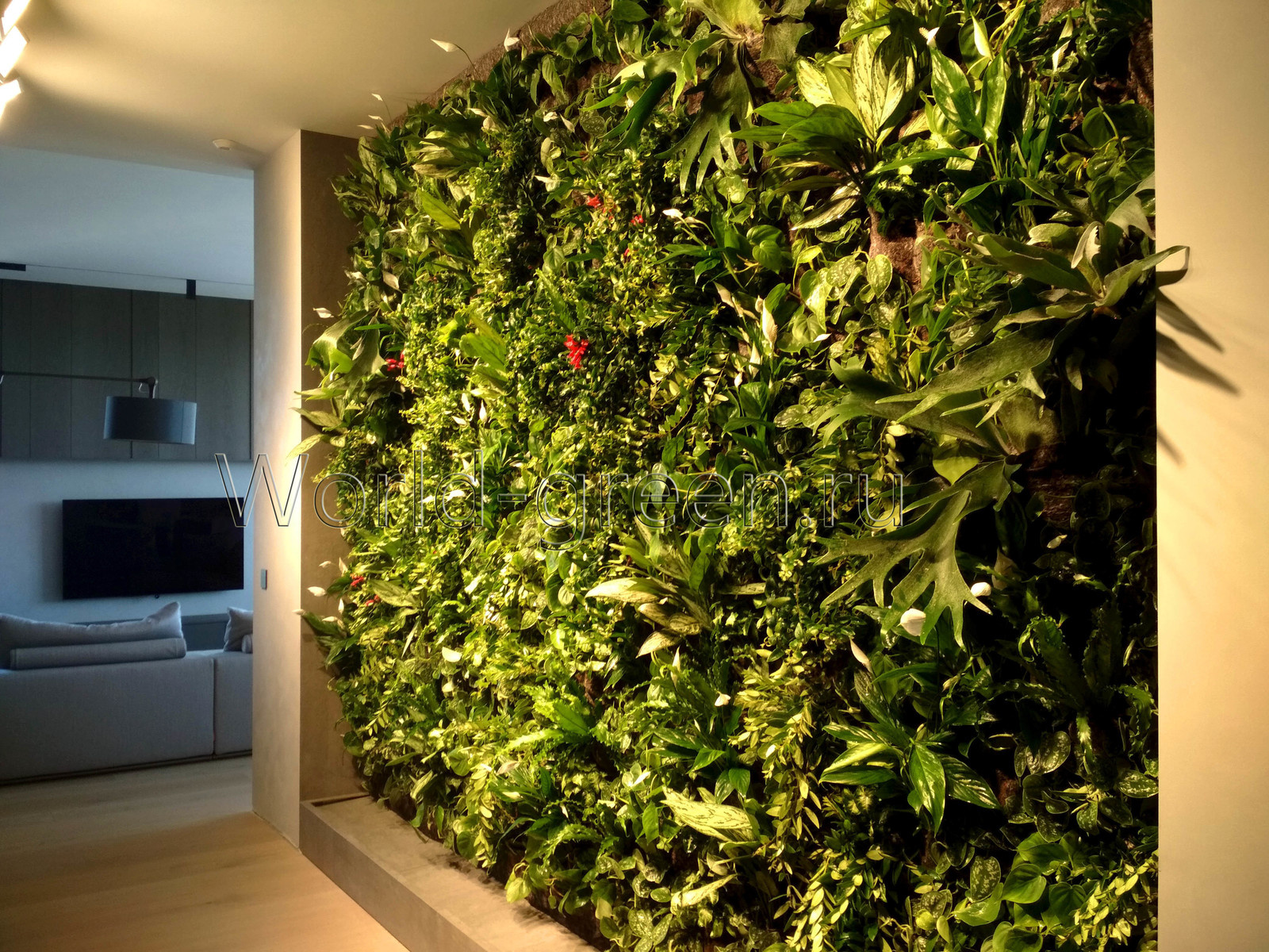 Фитостена в квартире в жилом комплексе у Смольного собора