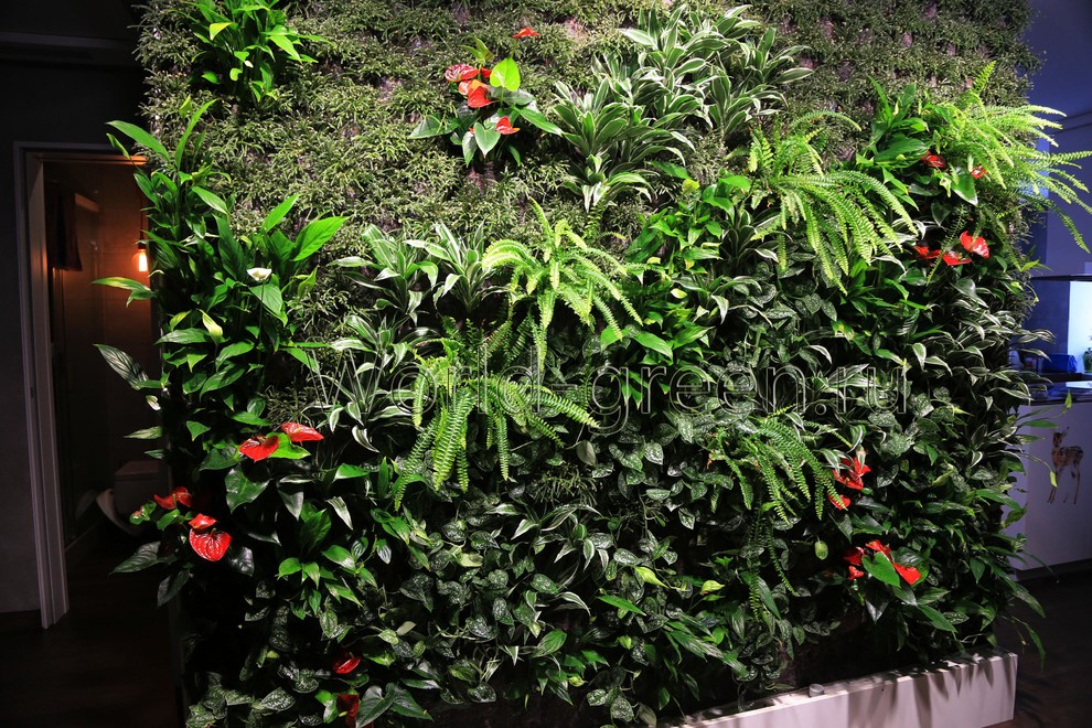 Фитостена в квартире на ул.Есенино