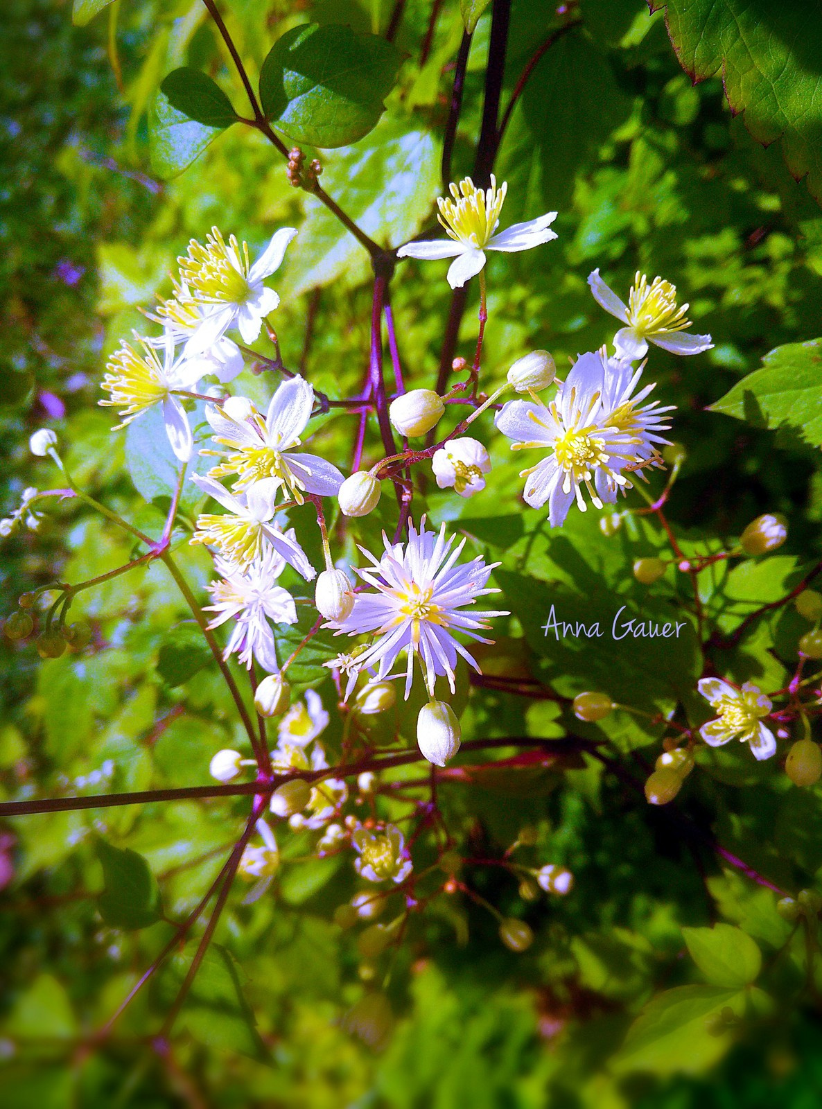 Красив в любое время года