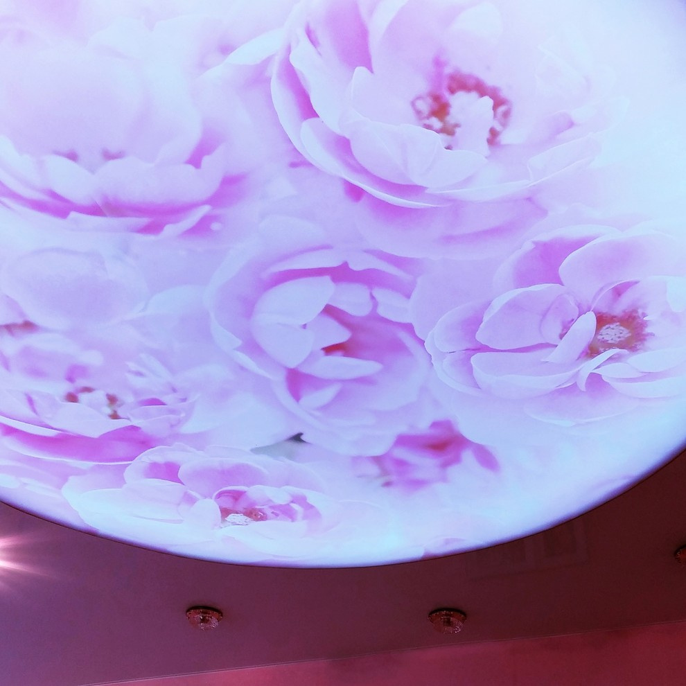 Арт печать на натяжных потолках.