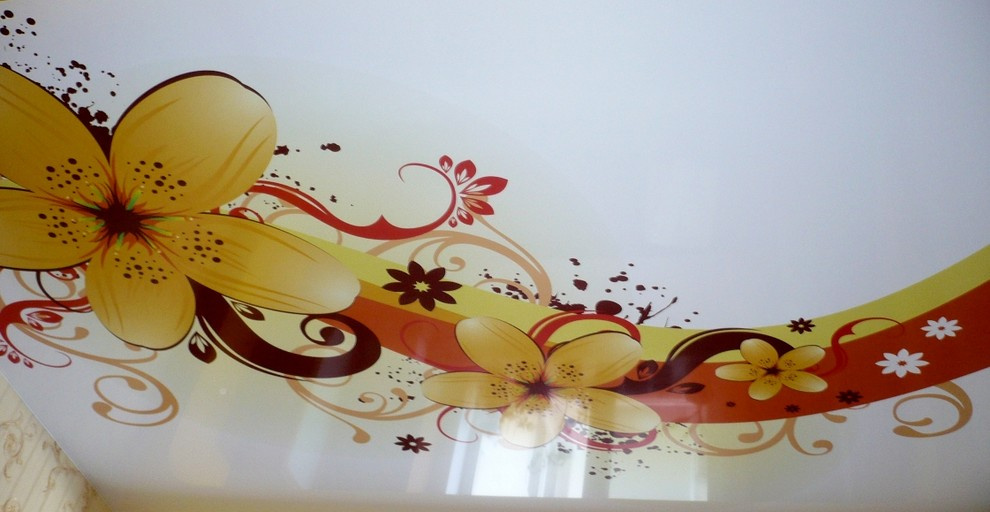 Арт печать на натяжных потолках.