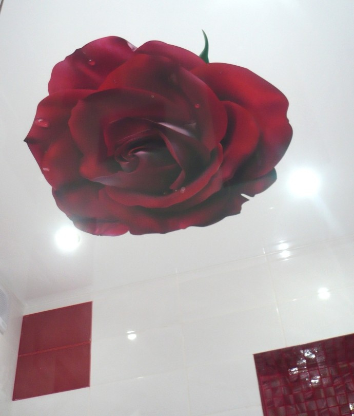 Обложка проекта: Арт печать на натяжных потолках.