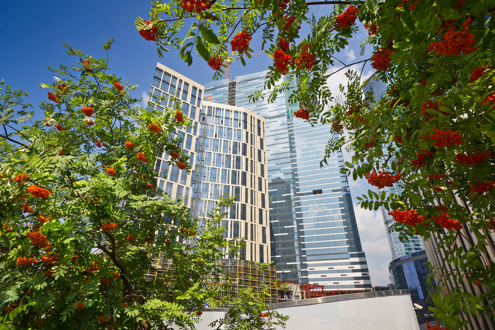 Архитектура (Москва-сити)