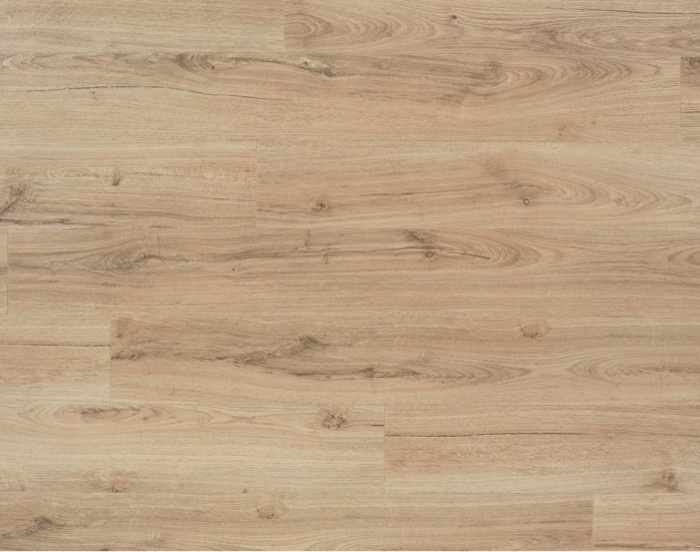 Обложка проекта: BerryAlloc