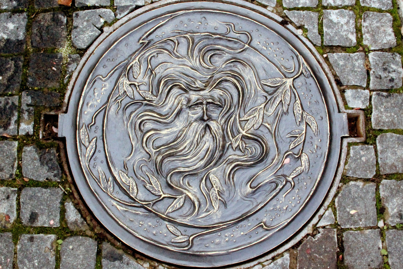 Глянцевый лес