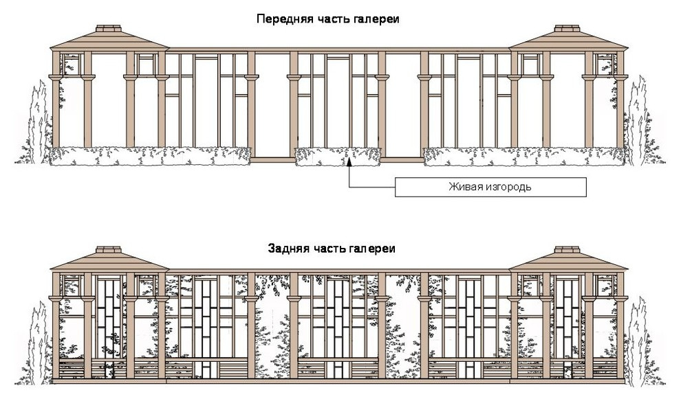 Глянцевый лес